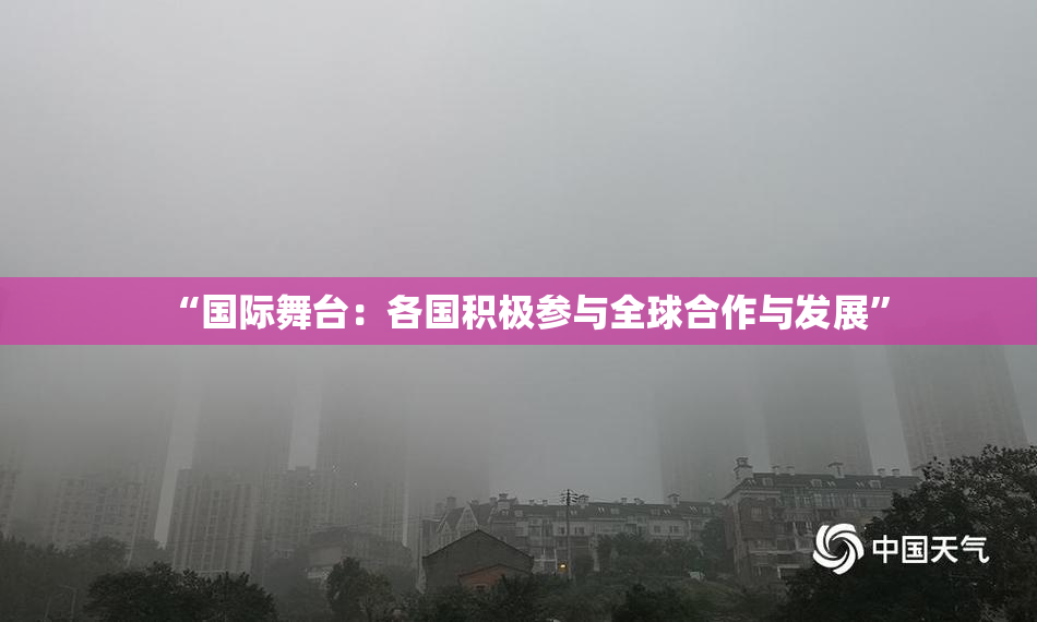 “国际舞台：各国积极参与全球合作与发展”