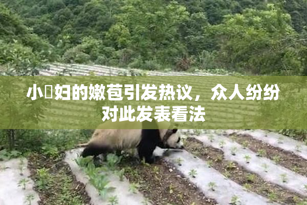 小婬妇的嫩苞引发热议，众人纷纷对此发表看法