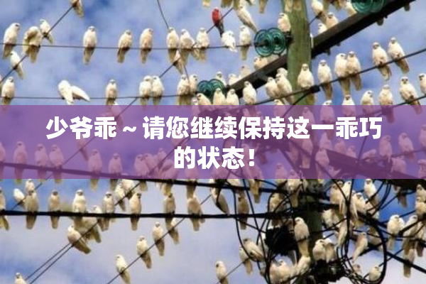 少爷乖～请您继续保持这一乖巧的状态！