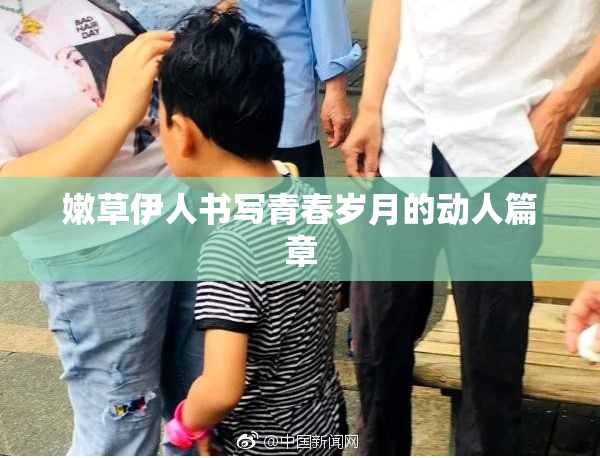 嫩草伊人书写青春岁月的动人篇章