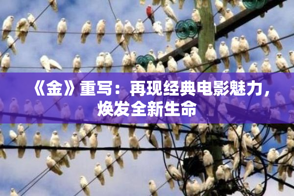 《金》重写：再现经典电影魅力，焕发全新生命