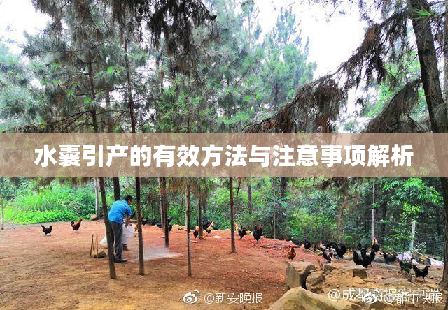 水囊引产的有效方法与注意事项解析