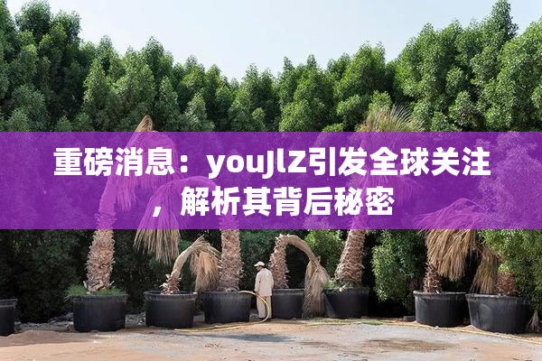 重磅消息：youJlZ引发全球关注，解析其背后秘密