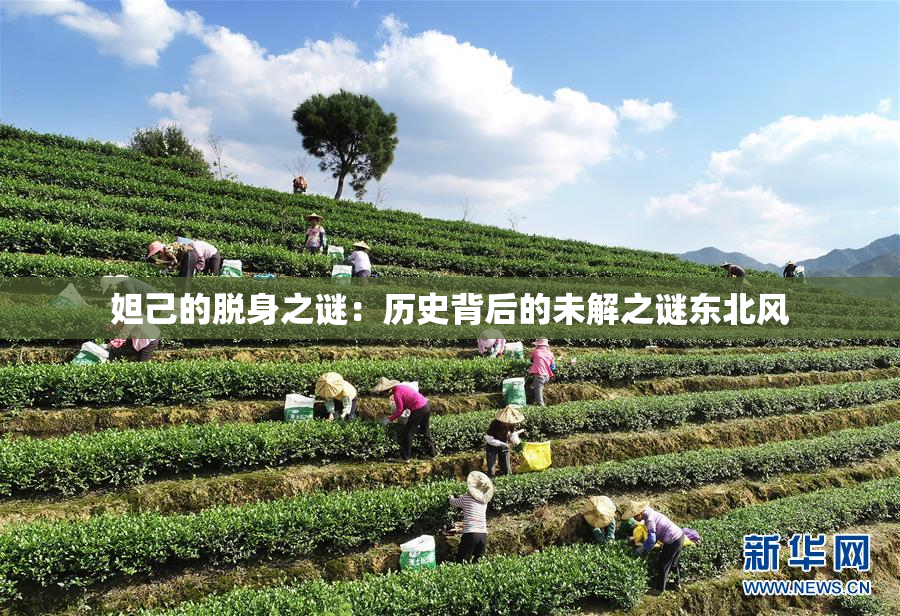 妲己的脱身之谜：历史背后的未解之谜东北风