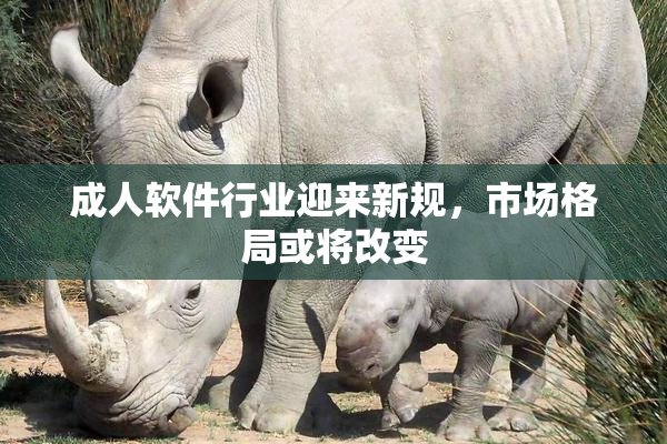 成人软件行业迎来新规，市场格局或将改变