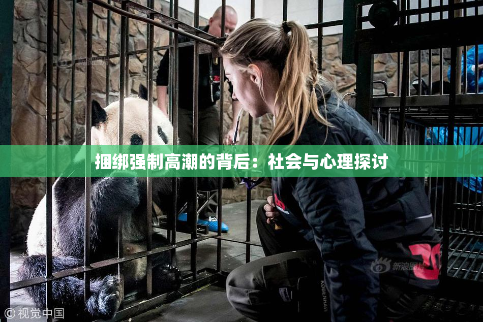 捆绑强制高潮的背后：社会与心理探讨