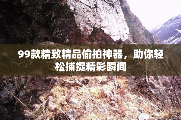 99款精致精品偷拍神器，助你轻松捕捉精彩瞬间