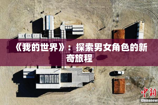 《我的世界》：探索男女角色的新奇旅程