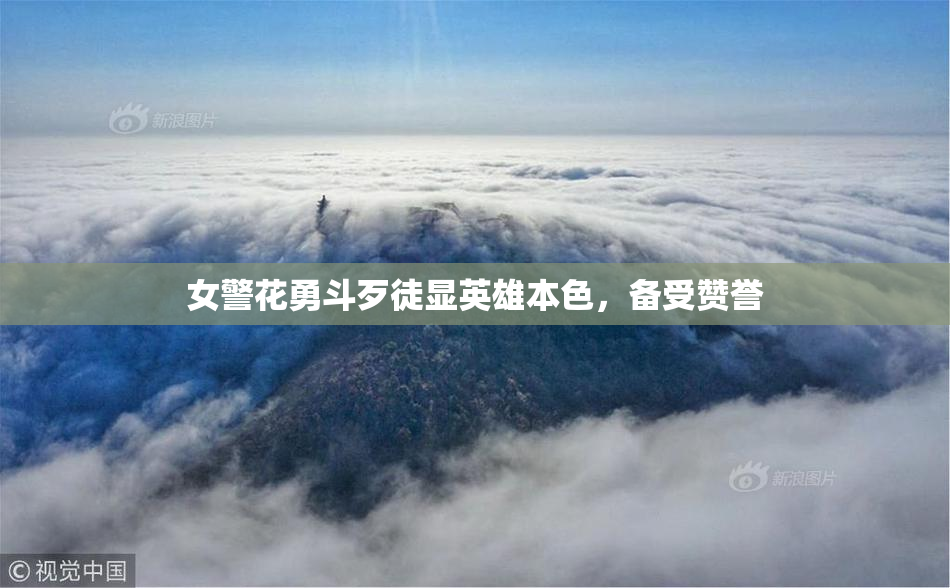 女警花勇斗歹徒显英雄本色，备受赞誉