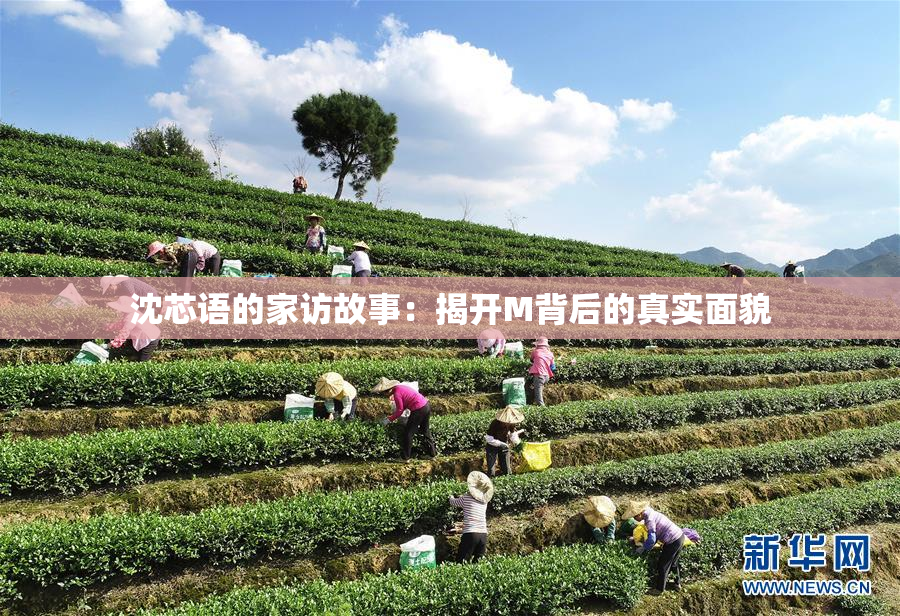 沈芯语的家访故事：揭开M背后的真实面貌