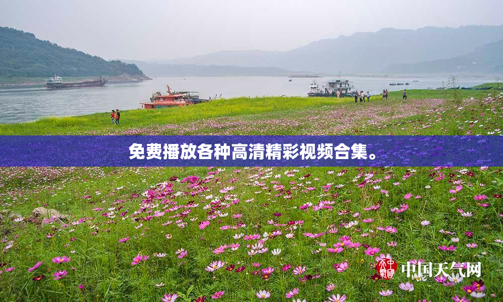 免费播放各种高清精彩视频合集。