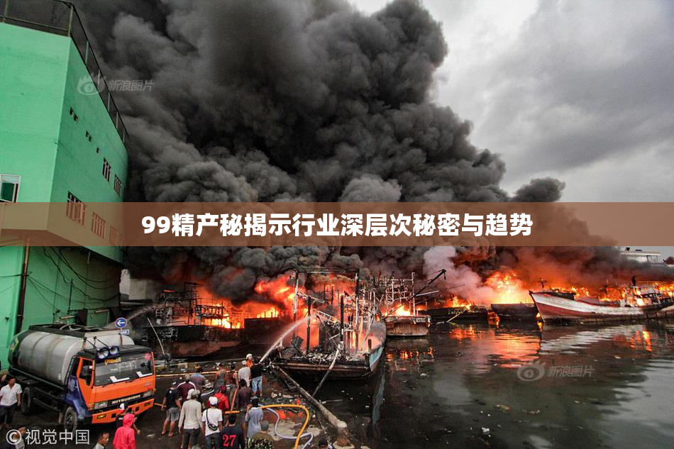 99精产秘揭示行业深层次秘密与趋势