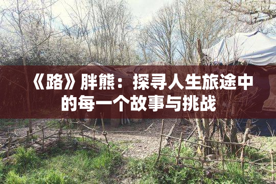 《路》胖熊：探寻人生旅途中的每一个故事与挑战