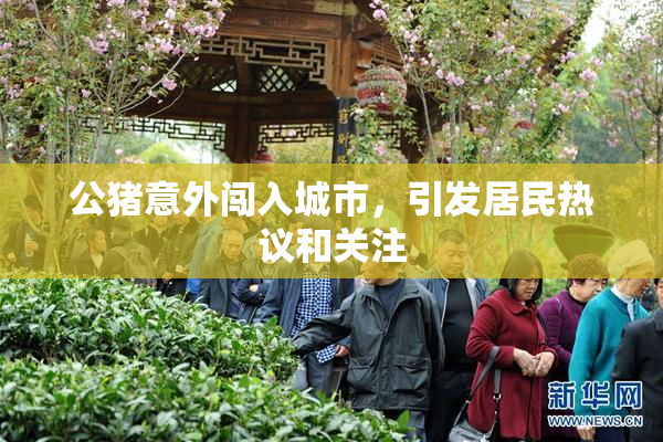 公猪意外闯入城市，引发居民热议和关注