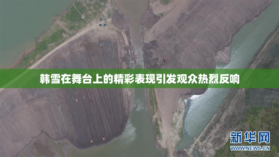 韩雪在舞台上的精彩表现引发观众热烈反响