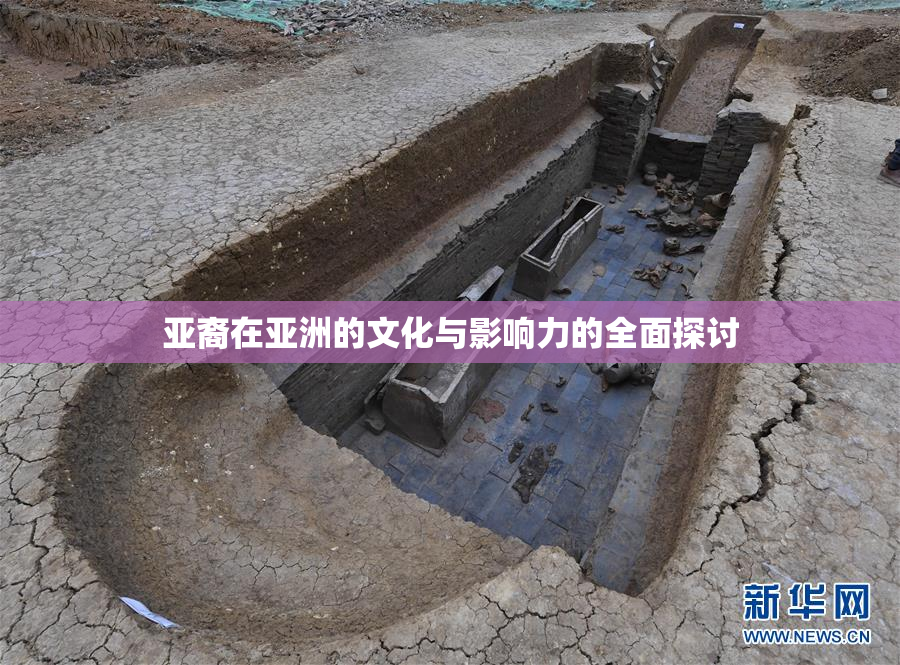 亚裔在亚洲的文化与影响力的全面探讨