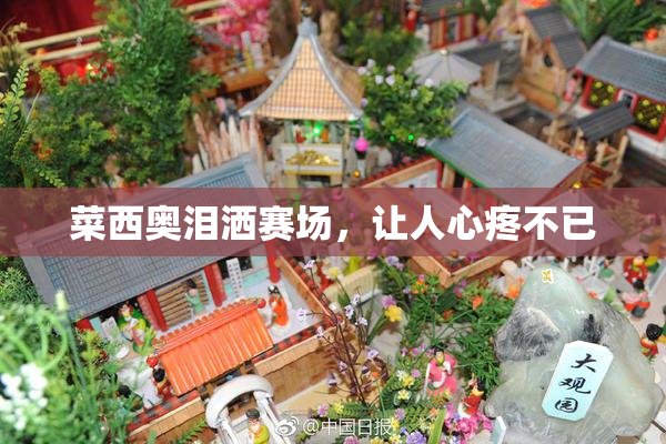 菜西奥泪洒赛场，让人心疼不已