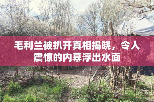 毛利兰被扒开真相揭晓，令人震惊的内幕浮出水面