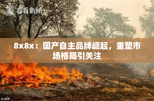 8x8x：国产自主品牌崛起，重塑市场格局引关注