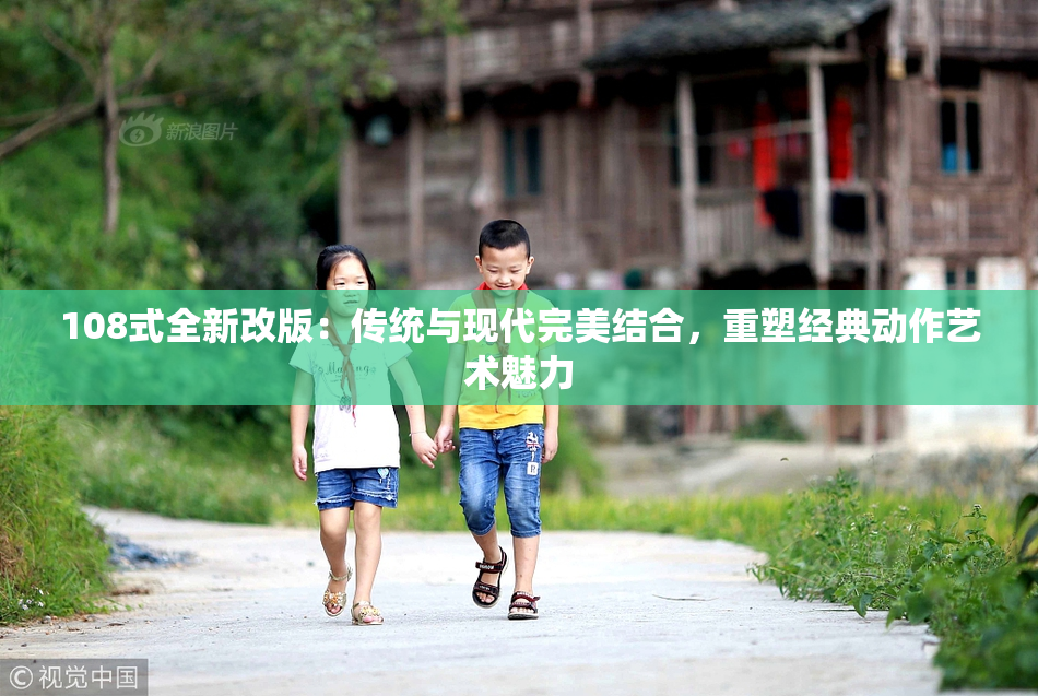 108式全新改版：传统与现代完美结合，重塑经典动作艺术魅力