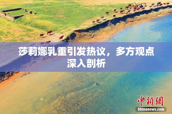 莎莉娜乳重引发热议，多方观点深入剖析