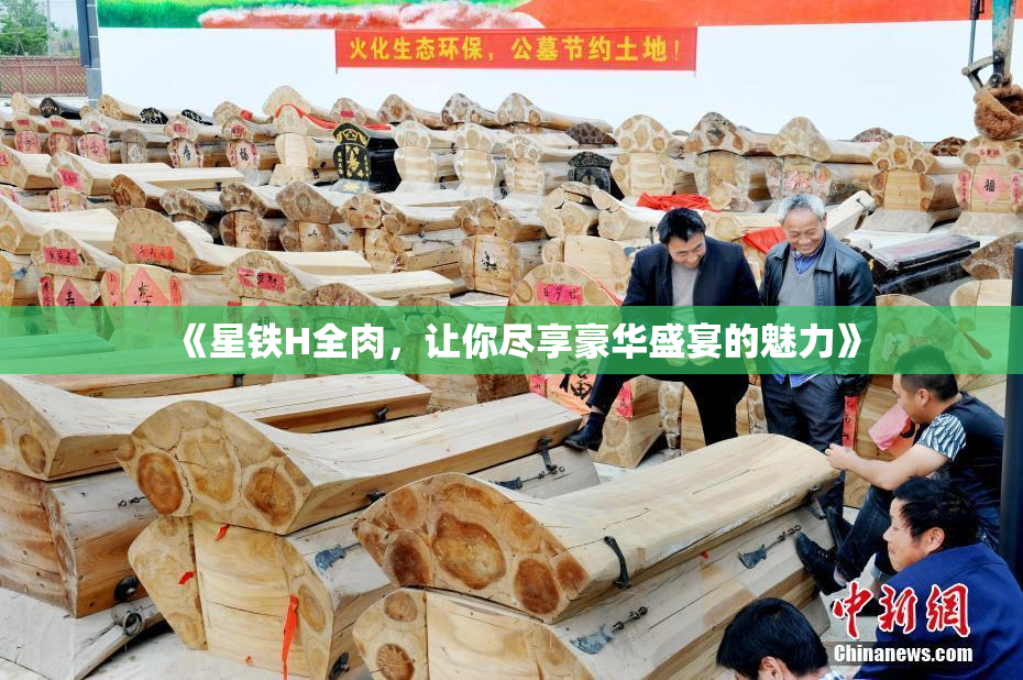 《星铁H全肉，让你尽享豪华盛宴的魅力》