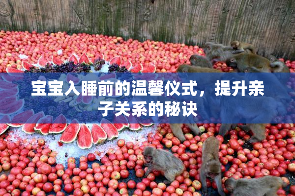 宝宝入睡前的温馨仪式，提升亲子关系的秘诀
