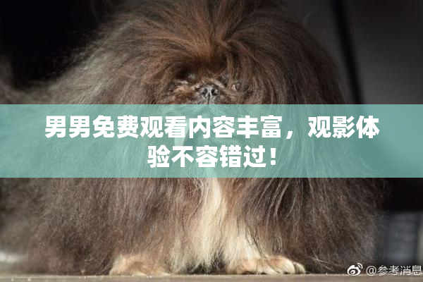 男男免费观看内容丰富，观影体验不容错过！