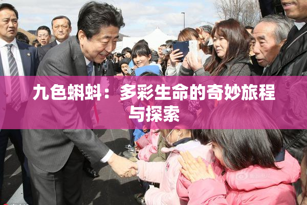 九色蝌蚪：多彩生命的奇妙旅程与探索