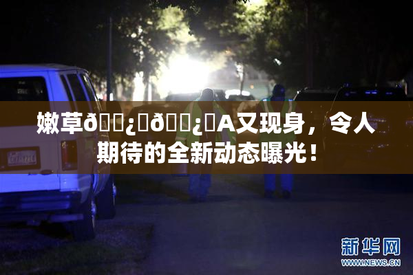 嫩草🌿‌🌿‌A又现身，令人期待的全新动态曝光！