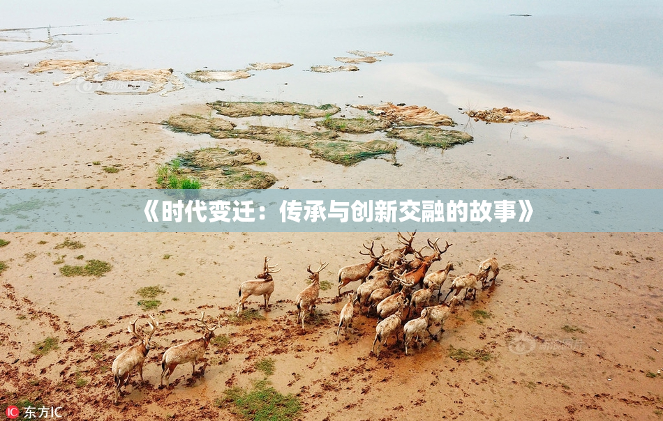 《时代变迁：传承与创新交融的故事》
