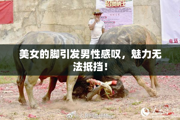 美女的脚引发男性感叹，魅力无法抵挡！