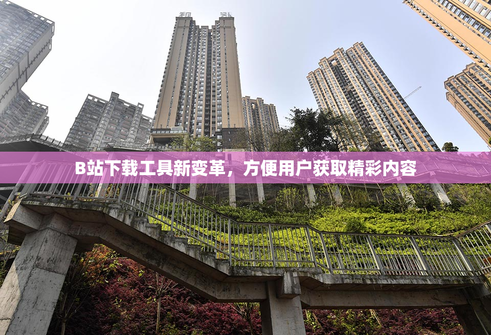 B站下载工具新变革，方便用户获取精彩内容