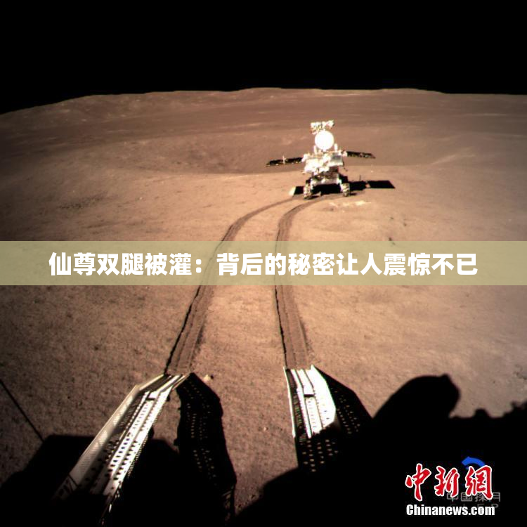 仙尊双腿被灌：背后的秘密让人震惊不已