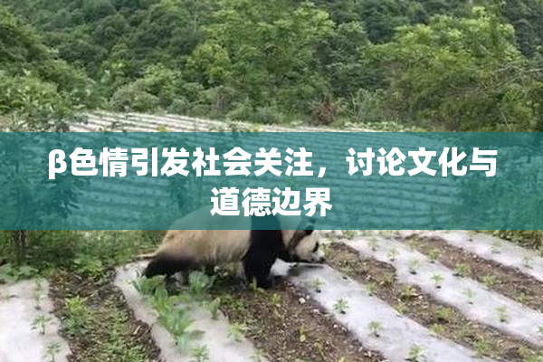 β色情引发社会关注，讨论文化与道德边界