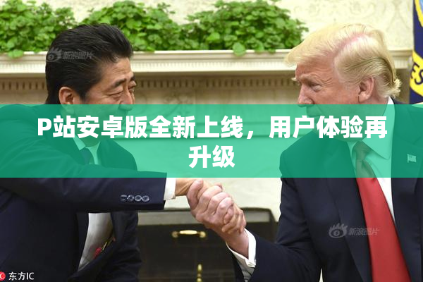 P站安卓版全新上线，用户体验再升级
