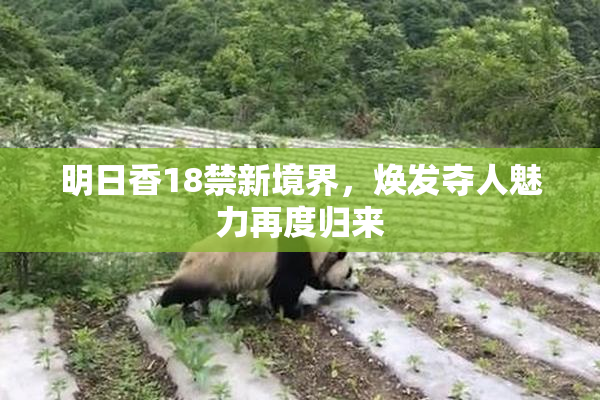 明日香18禁新境界，焕发夺人魅力再度归来