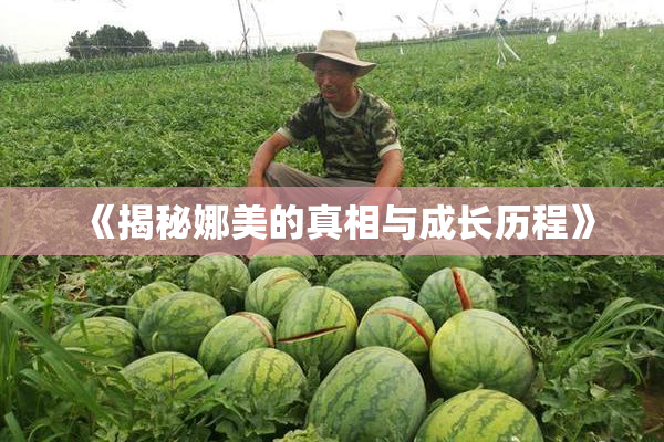 《揭秘娜美的真相与成长历程》