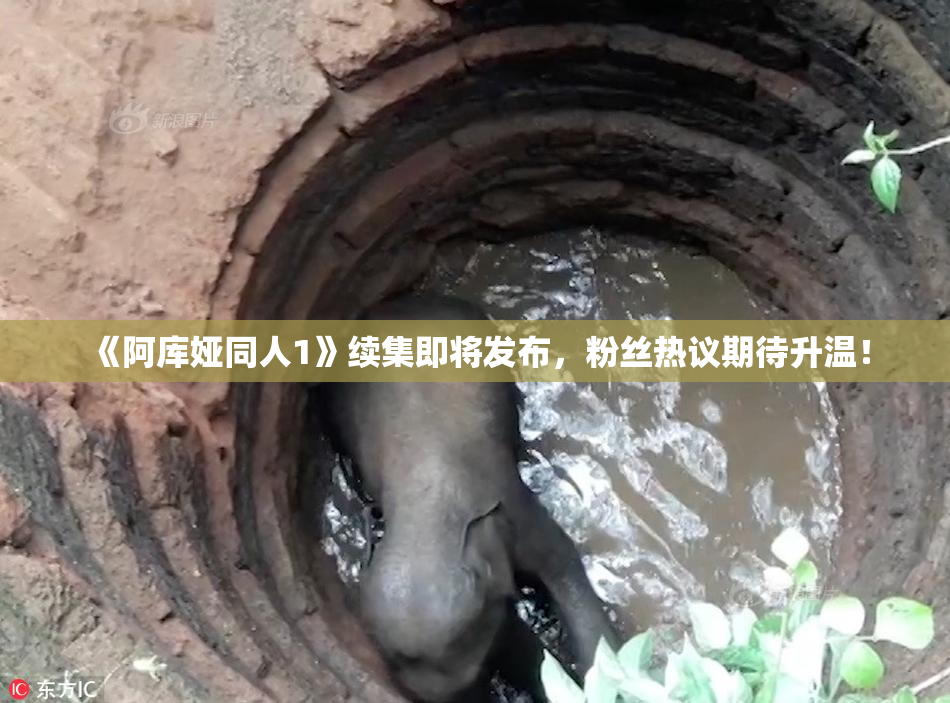 《阿库娅同人1》续集即将发布，粉丝热议期待升温！