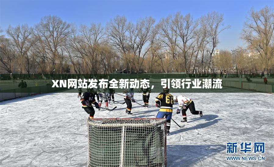 XN网站发布全新动态，引领行业潮流