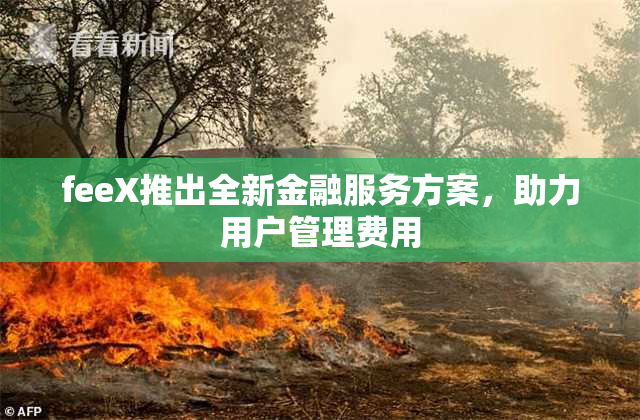 feeX推出全新金融服务方案，助力用户管理费用
