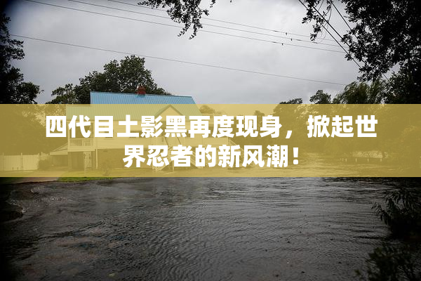 四代目土影黑再度现身，掀起世界忍者的新风潮！