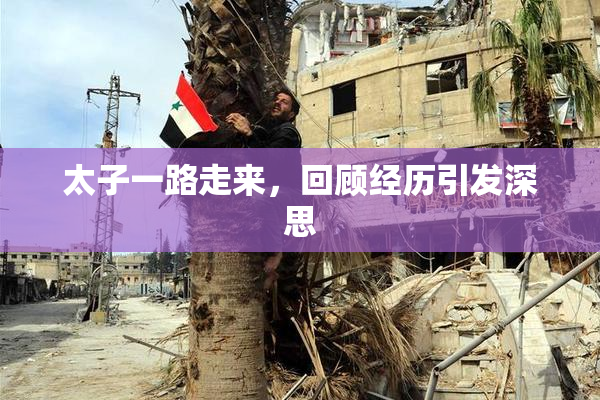 太子一路走来，回顾经历引发深思