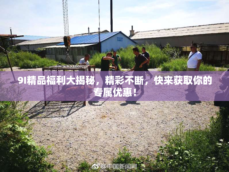 9I精品福利大揭秘，精彩不断，快来获取你的专属优惠！