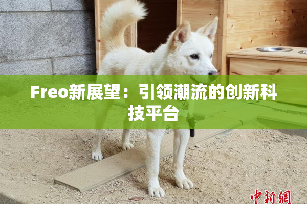 Freo新展望：引领潮流的创新科技平台