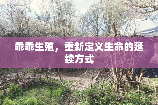 乖乖生殖，重新定义生命的延续方式