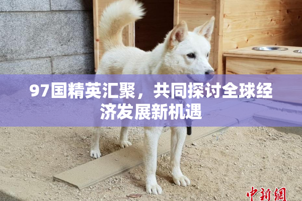 97国精英汇聚，共同探讨全球经济发展新机遇