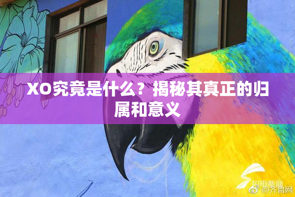 XO究竟是什么？揭秘其真正的归属和意义