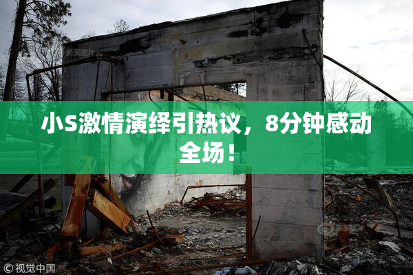 小S激情演绎引热议，8分钟感动全场！