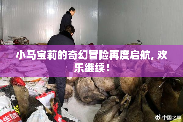 小马宝莉的奇幻冒险再度启航, 欢乐继续！